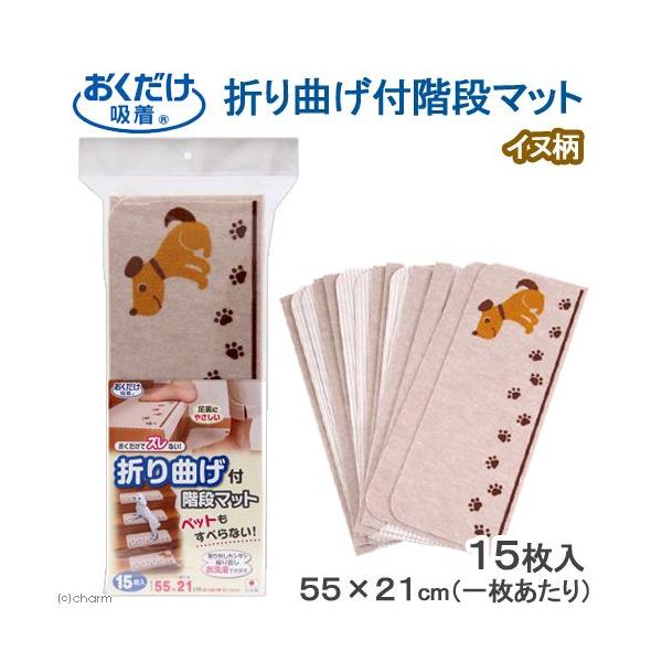 TR[@܂ȂtKi}bg@@@pi@}bg@Ki