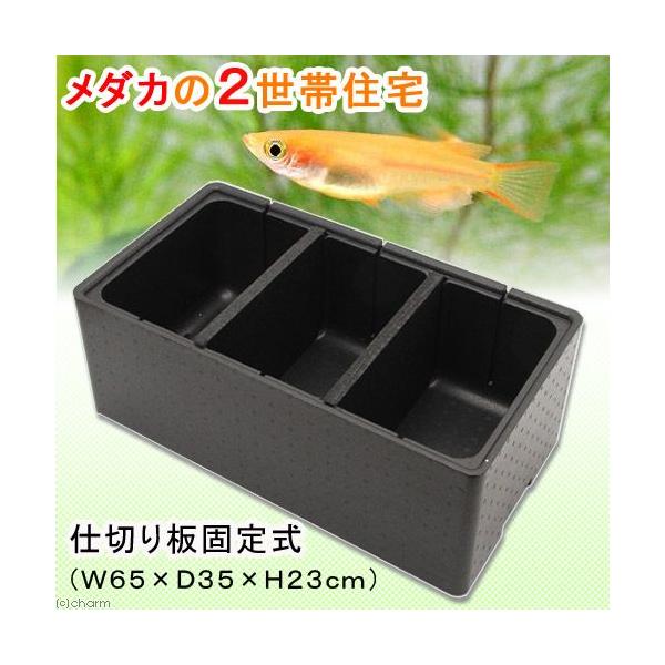 _ĴQяZ@R[id؂Œ莮jivUT×cRT×gQRj@llQ_