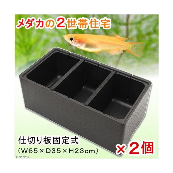 _ĴQяZ@R[id؂Œ莮jivUT×cRT×gQRjQZbg