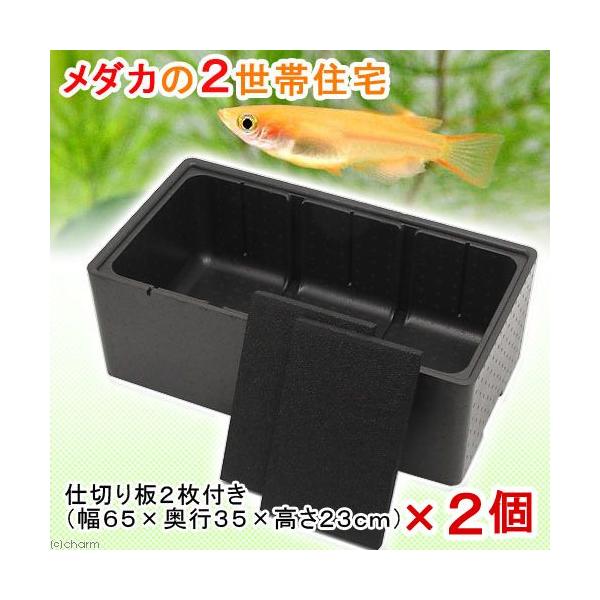 _ĴQяZ@R[HLbgiijivUT×cRT×gQRjQZbg