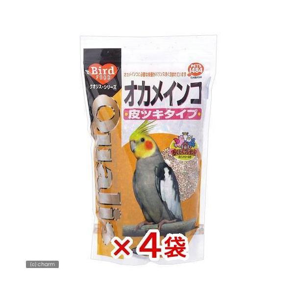 NIX@IJCRicL^Cvj@TTO×S܁@@t[h@a@@@