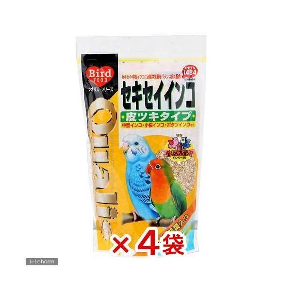 NIX@ZLZCCRicL^Cvj@TTO×S܁@@t[h@a@@@