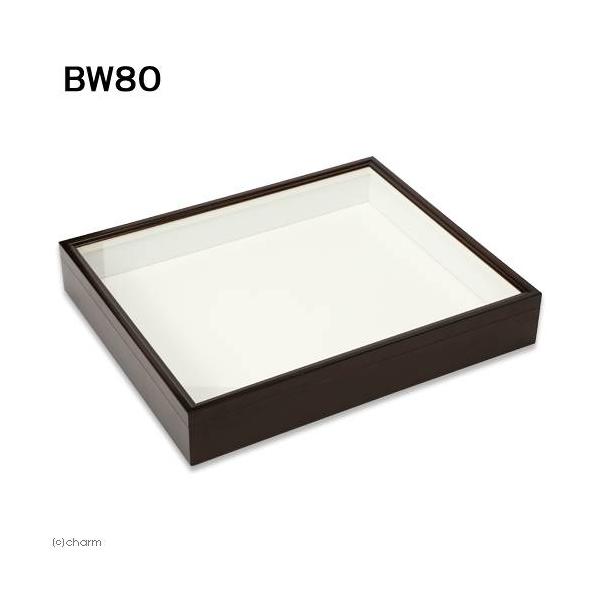 メーカー：バードウィング sfset　_insect　昆虫用品　昆虫　カブト　クワガタ　標本　標本箱　バードウィング　バードウィング製　ドイツ型標本箱　ＢＷ８０　幅５０．７×奥行き４１．８×高さ８ｃｍ　標本用品　ドイツ箱　蝶　蛾　甲虫　標本...