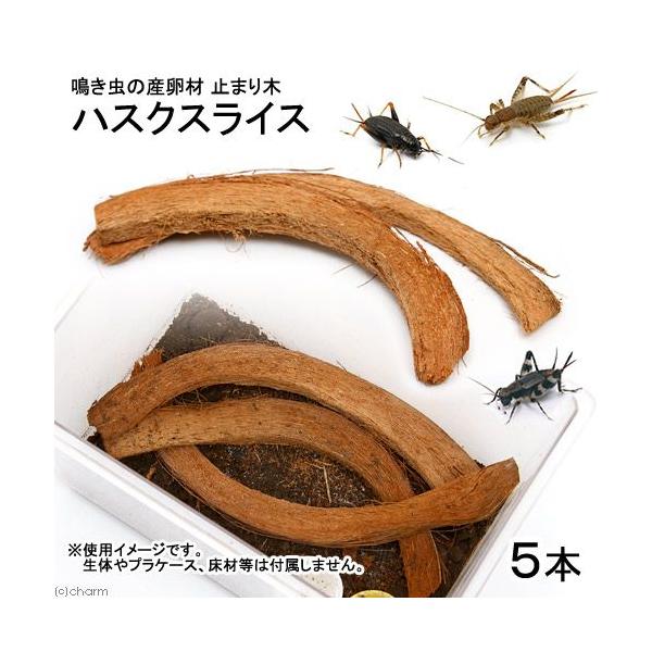 ̎Yށ@Ƃ܂؁@nXNXCX@T{@XYV@钎@RIM