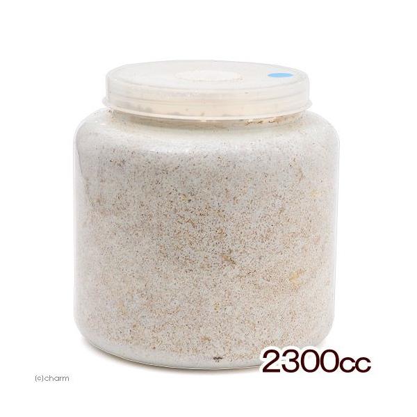 ێr@wk|ons@J^P@QROO@P{@{g