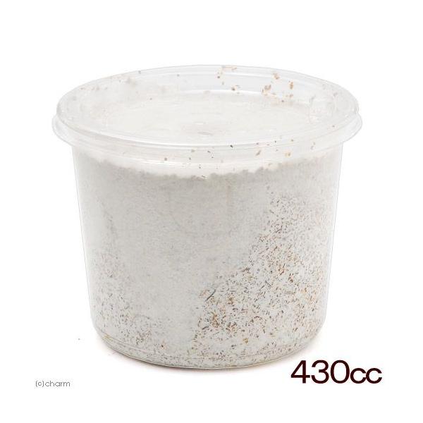 メーカー：(株)リーフ Leaf Corp coollogist　夏季クール対応　昆虫用品　kuwagatayotyuugood　飼育用品　ＸＬシリーズ　xlcup　カブト・クワガタ・用品　菌糸ビン　hiratake　菌糸ビンcup　菌糸ビ...