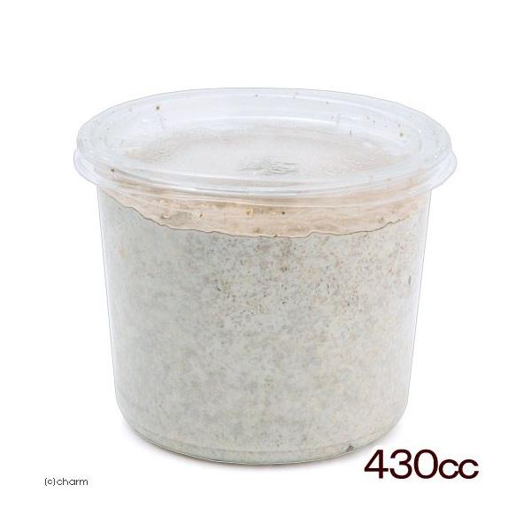 メーカー：(株)リーフ Leaf Corp coollogist　夏季クール対応　昆虫用品　kuwagatayotyuugood　xlcup　kawara　飼育用品　ＸＬシリーズ　カワラ材・カワラ菌糸ビン　カブト・クワガタ・用品　菌糸ビン　...