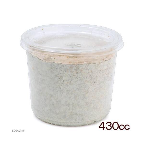 メーカー：(株)リーフ Leaf Corp coollogist　夏季クール対応　昆虫用品　kuwagatayotyuugood　xlcup　kawara　飼育用品　ＸＬシリーズ　カワラ材・カワラ菌糸ビン　カブト・クワガタ・用品　菌糸ビンＸ...