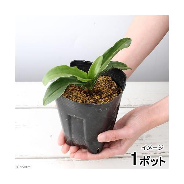 iR쑐jIgiNj@n@R`SiP|bgjixԁj