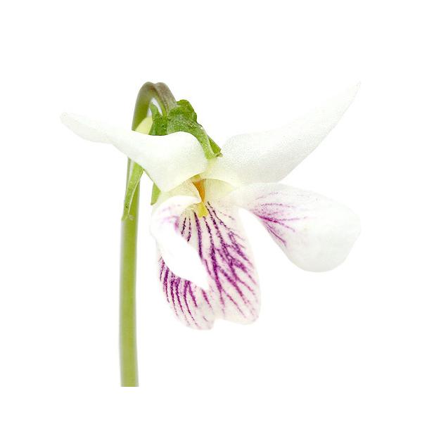 iR쑐jX~i俁jjCX~ic{X~@@俁@俁jQDT`RiP|bgjixԁj