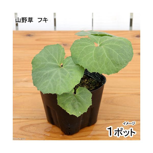 iR쑐jR؁@tLij@R`S@iP|bgj@ƒ؉ixԁj