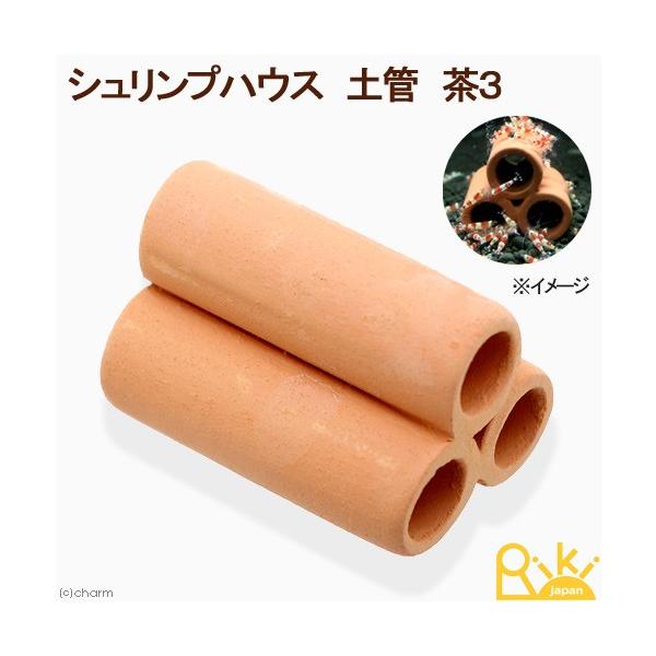 VvnEX@yǁ@R@r[VvpVF^[