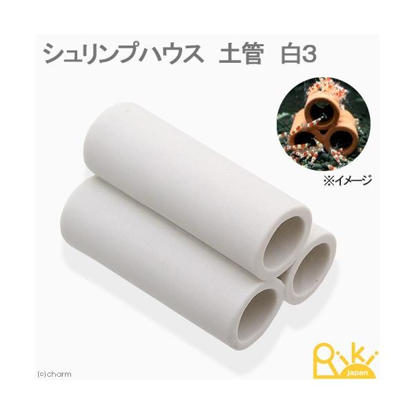 VvnEX@yǁ@R@r[VvpVF^[