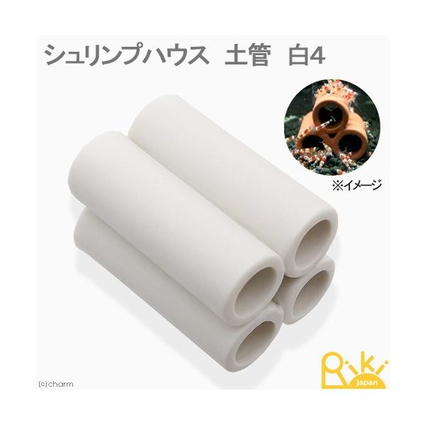 VvnEX@yǁ@S@r[VvpVF^[