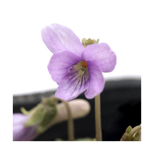 iR쑐jX~i俁jRX~i俁jQDT`RiP|bgjixԁj