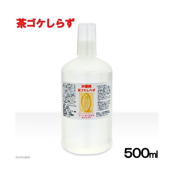 Q}jEp[@mdvSP炸@WECp@TOOiPOOOOkj@SP@΍