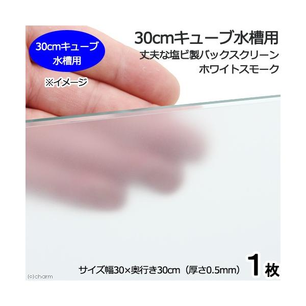 ROL[up@vȉrobNXN[@RO×RO@zCgX[N