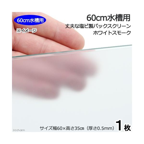 UOp@vȉrobNXN[@UO×RT@zCgX[N