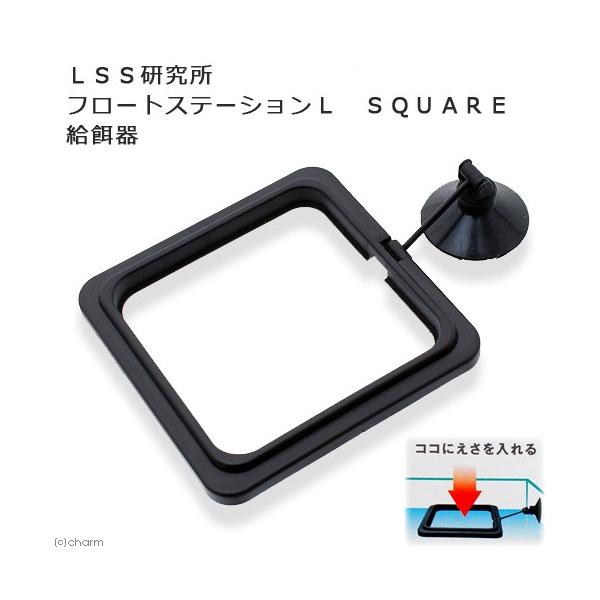 ＬＳＳ研究所　フロートステーションＬ　ＳＱＵＡＲＥ