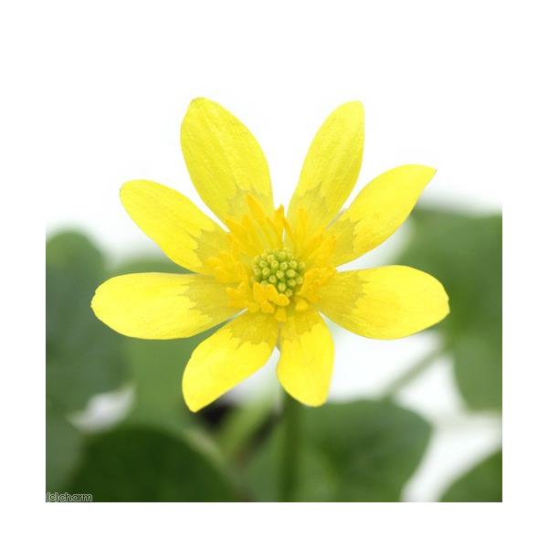 iR쑐jqELJiPԁjn@QDT`RiP|bgjixԁj