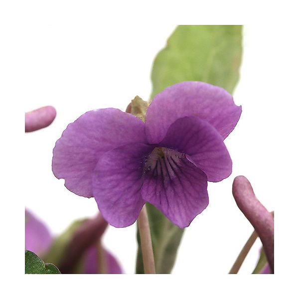 iR쑐jX~i俁jIJX~iu俁jQDT`RiP|bgjixԁj