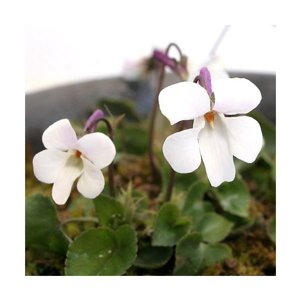 iR쑐jX~i俁jIgX~i俁j@QDT`RiP|bgjixԁj