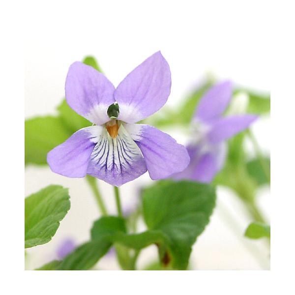 iR쑐jX~i俁jII^`c{X~i嗧俁jQDT`RiP|bgjixԁj