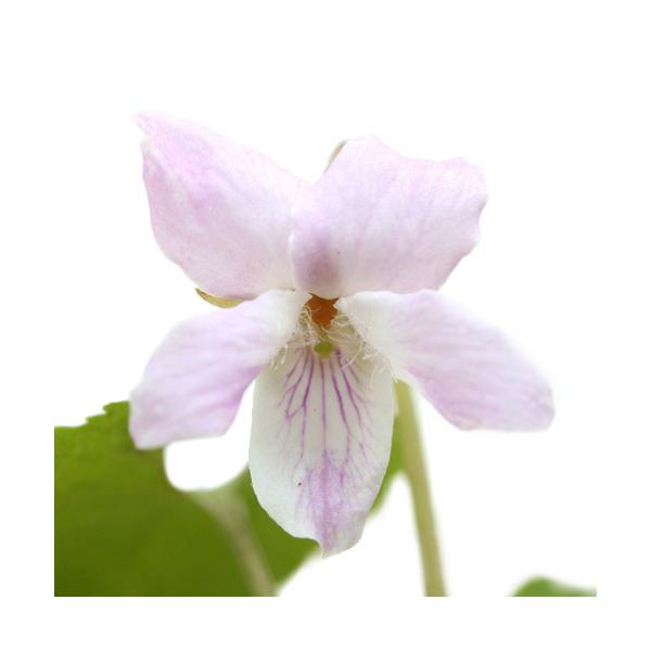 iR쑐jX~i俁jqiX~i俁jQDT`RiR|bgZbgjixԁj