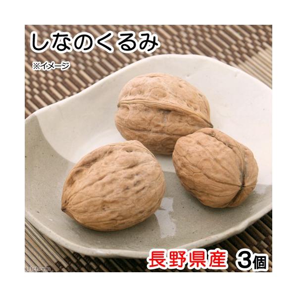 쌧Y@kt@Ȃ̂݁@R@tr`x`l`@̂@@nX^[@Y@Y@F