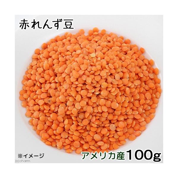 ԃY@POO@঒ނ̂@঒ށ@gJQ@J@AK}@tgAS@Y@F