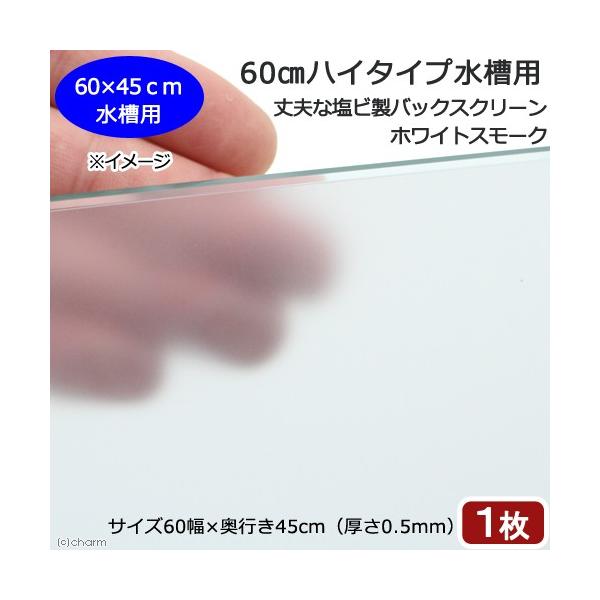 UOnC^Cvp@vȉrobNXN[@UO×ST@zCgX[N