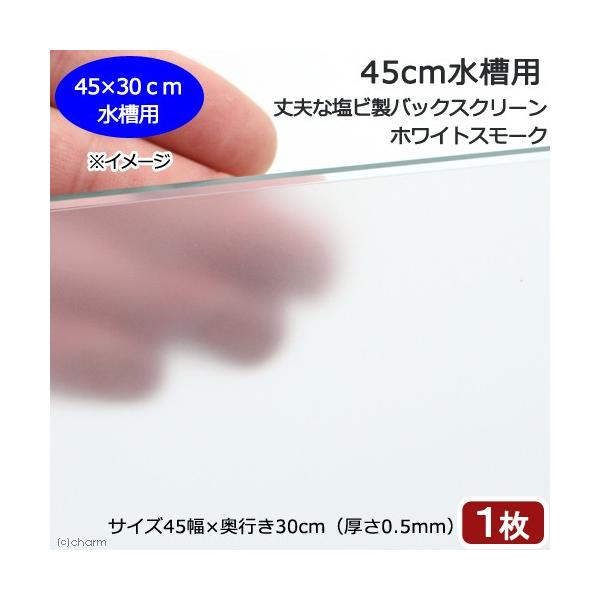 STp@vȉrobNXN[@ST×RO@zCgX[N