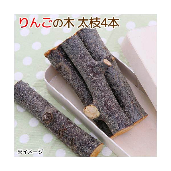 Y@񂲂̖؁@}@S{@p̂@Y@F