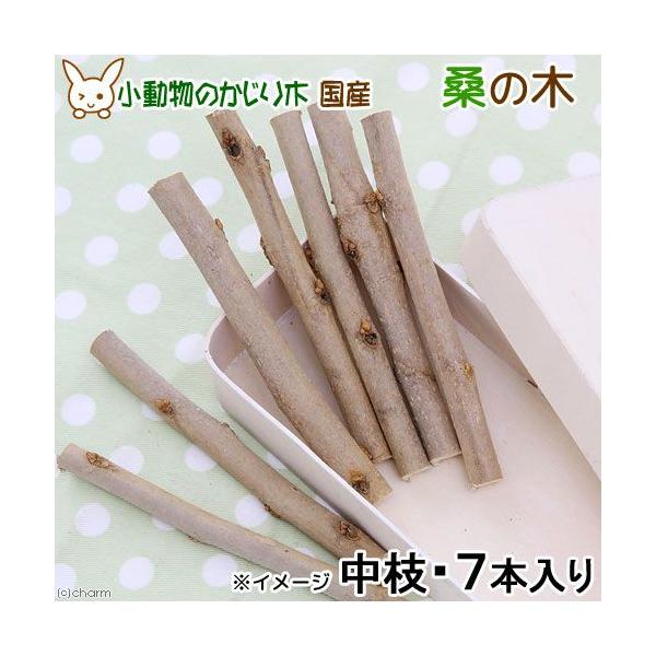 ؁@Y@K̖؁@}@V{@@@Y@F@@nX^[@``