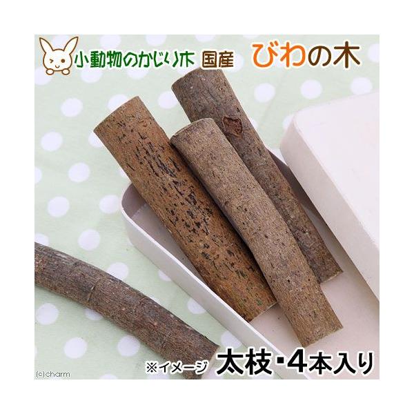 ؁@Y@т̖؁@}@S{@@@Y@F@@nX^[@``