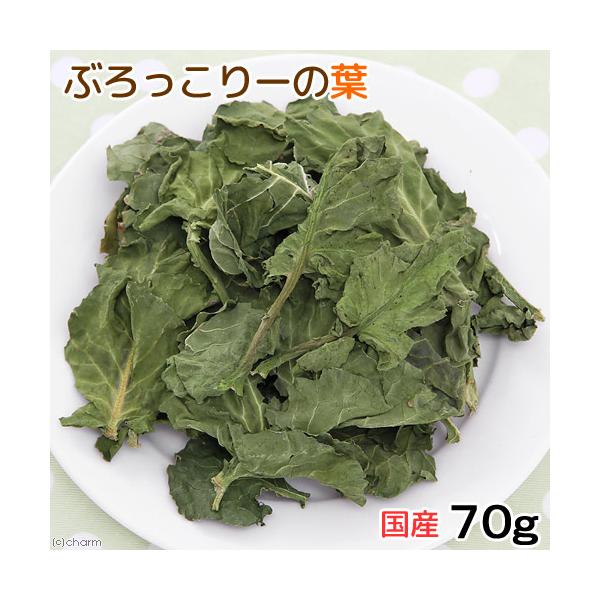 メーカー：(株)リーフ Leaf Corp usymlist　小動物　鳥　ハムスター　うさぎ　チンチラ　モルモット　デグー　リス　フード　えさ　おやつ　餌　用品　フルーツ　野菜　oytdry_anml　_animal　ブロッコリーの葉　ドラ...