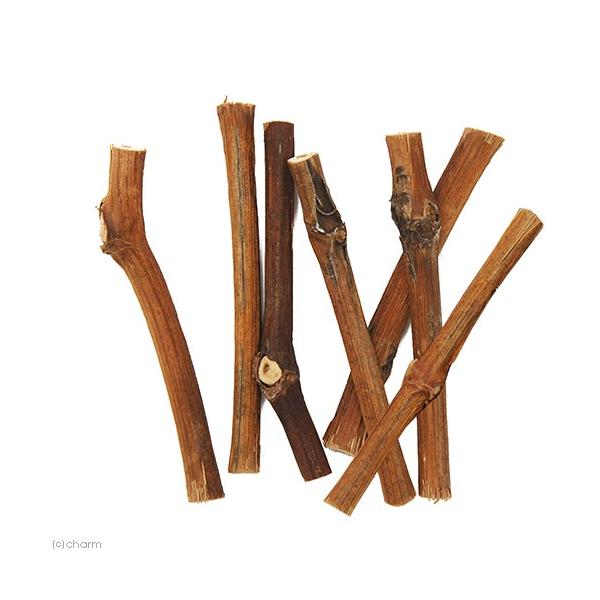 ؁@쌧Y@Ԃǂ̖؁@}@V{@@@Y@F@Y@@nX^[@``