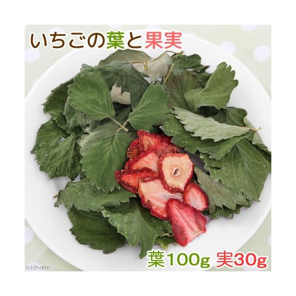 Y@̗tƉʎ@PRO@ppbN@̂@Y@F