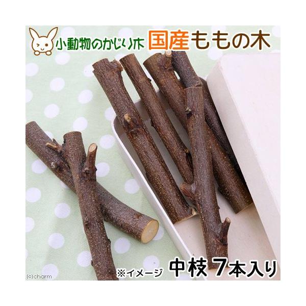 ؁@Y@̖؁@}@V{@@@Y@F@@nX^[@``@@@VR@XgX