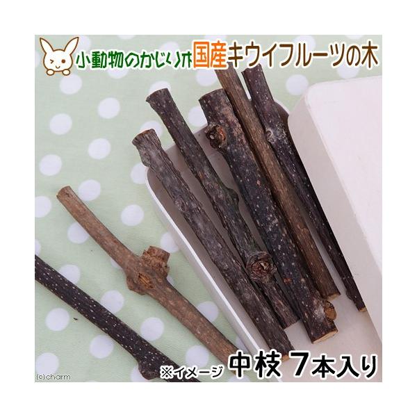 ؁@Y@LECt[c̖؁@}@V{@@L@@@nX^[@``