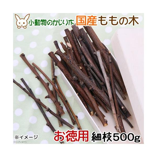 ؁@Y@̖؁@׎}@TOO@ppbN@@@@nX^[@``