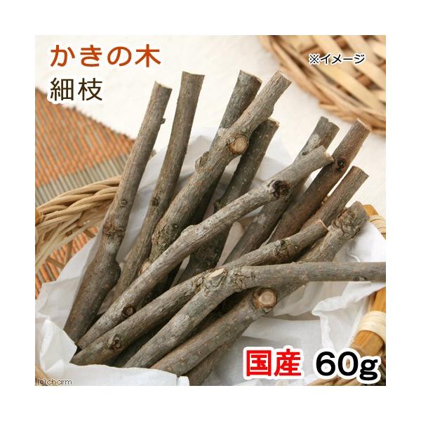 ؁@Y@̖؁@׎}@UO@@@@nX^[@``