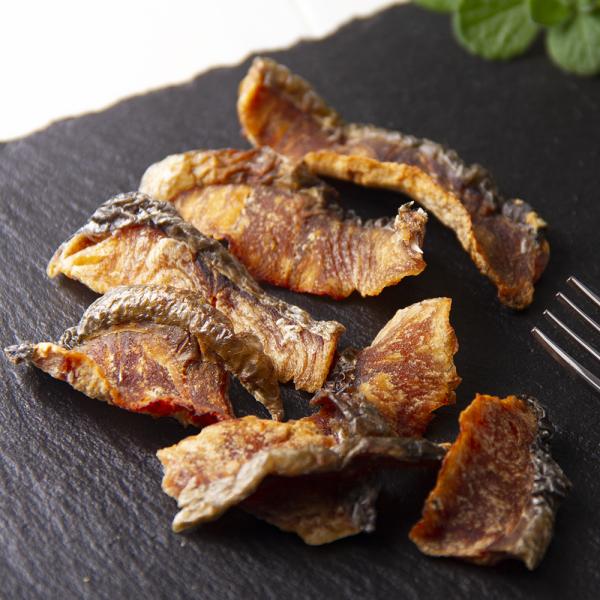 Y@ĂW[L[@UO@Y@Y@F@Lp