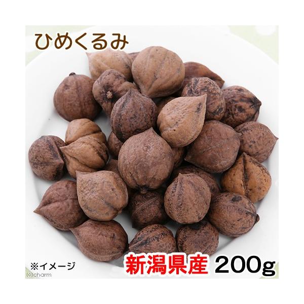 VY@kt@Ђ߂݁@QOO@ibc@̂@@Y@Y@F