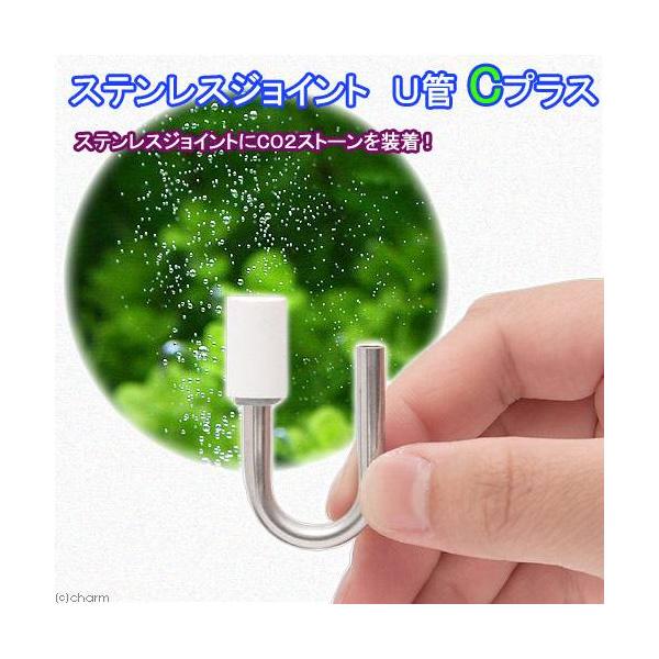 XeXWCgtǁ@b@vX@aTikRT×vPT×kROjWp