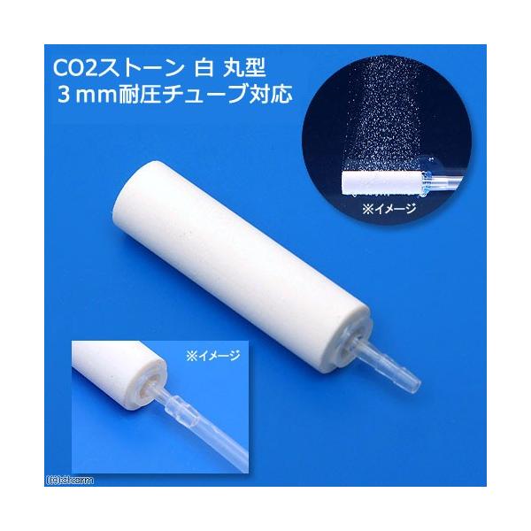 bnQgU@bnQXg[@@ی^@Rψ`[uΉ