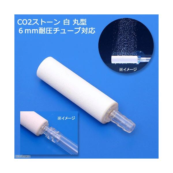 bnQgU@bnQXg[@@ی^@Uψ`[uΉ