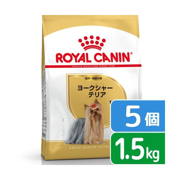 CJi@[NV[eA@Ep@PDT×T܁@Wbvt@llP_