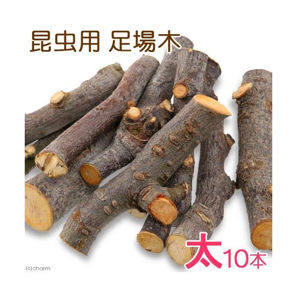 メーカー：(株)リーフ Leaf Corp _insect　MS34　usymlist　昆虫用　昆虫　足場　木　足場木　転倒防止材　のぼり木　レイアウト　20150225　ＫＥＺ　カブトムシ　クワガタ　止まり木　太　枝　opa2_none　...