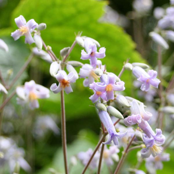 iR쑐jNT{^iOjRiP|bgjixԁj